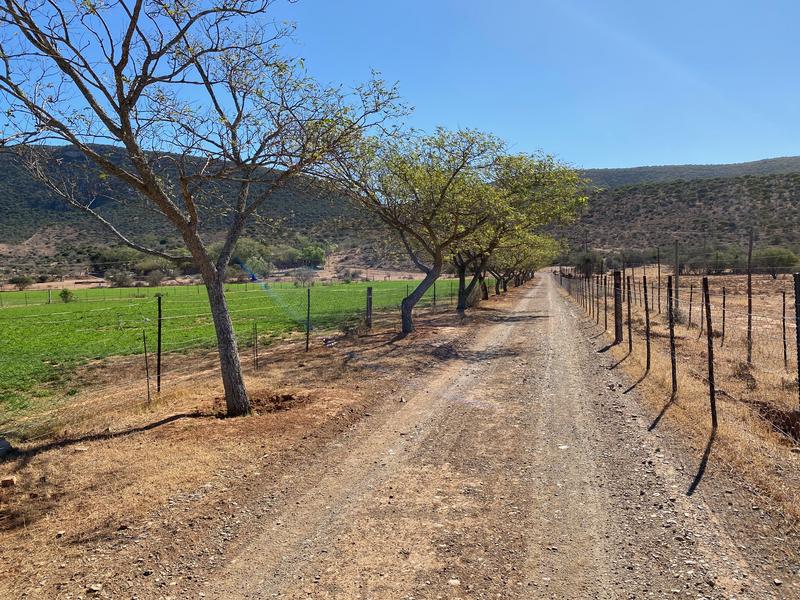 0 Bedroom Property for Sale in Kirkwood Eastern Cape